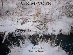 Grímsvötn : Frozen in Winter Forest..